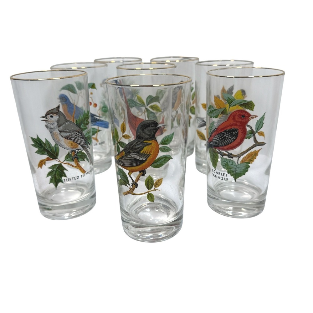 American Songbirds tall tumbler glasses gold rims West Virginia Glass Company 8